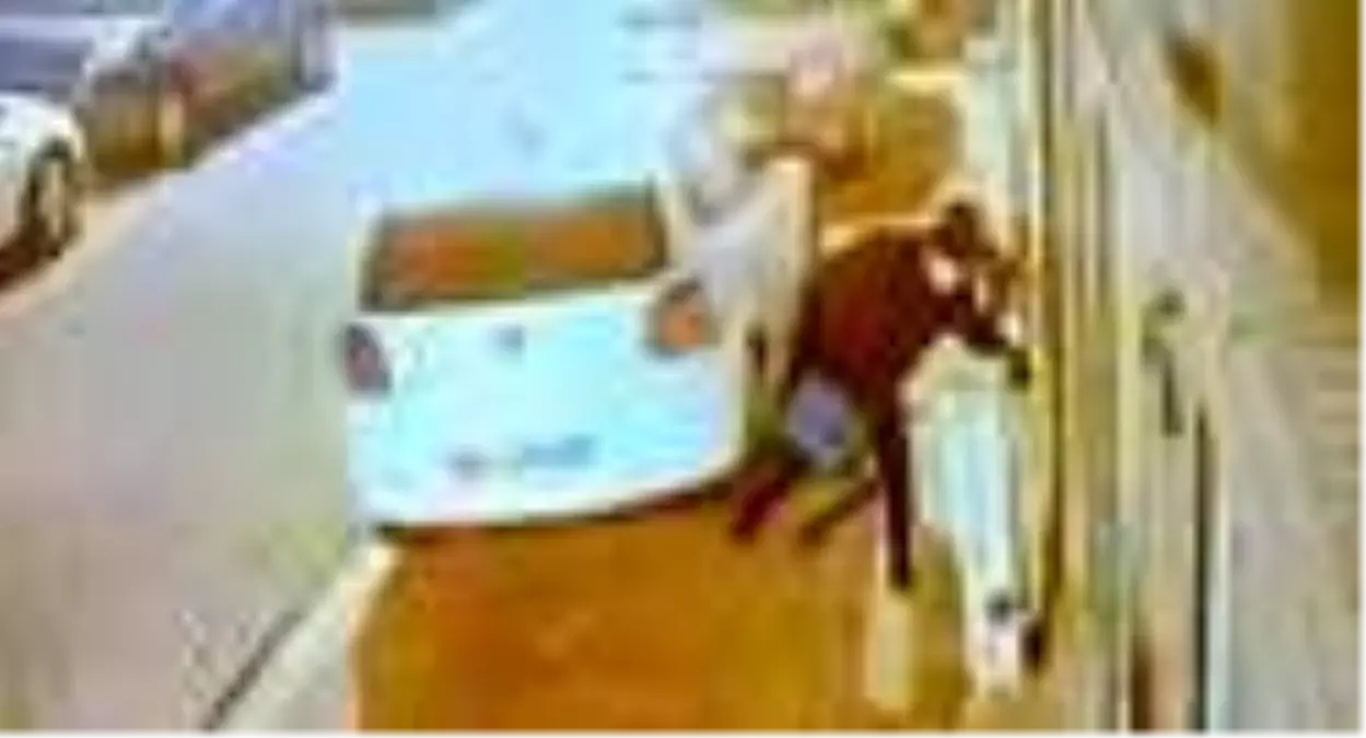 Hırsızlık anı kamerada