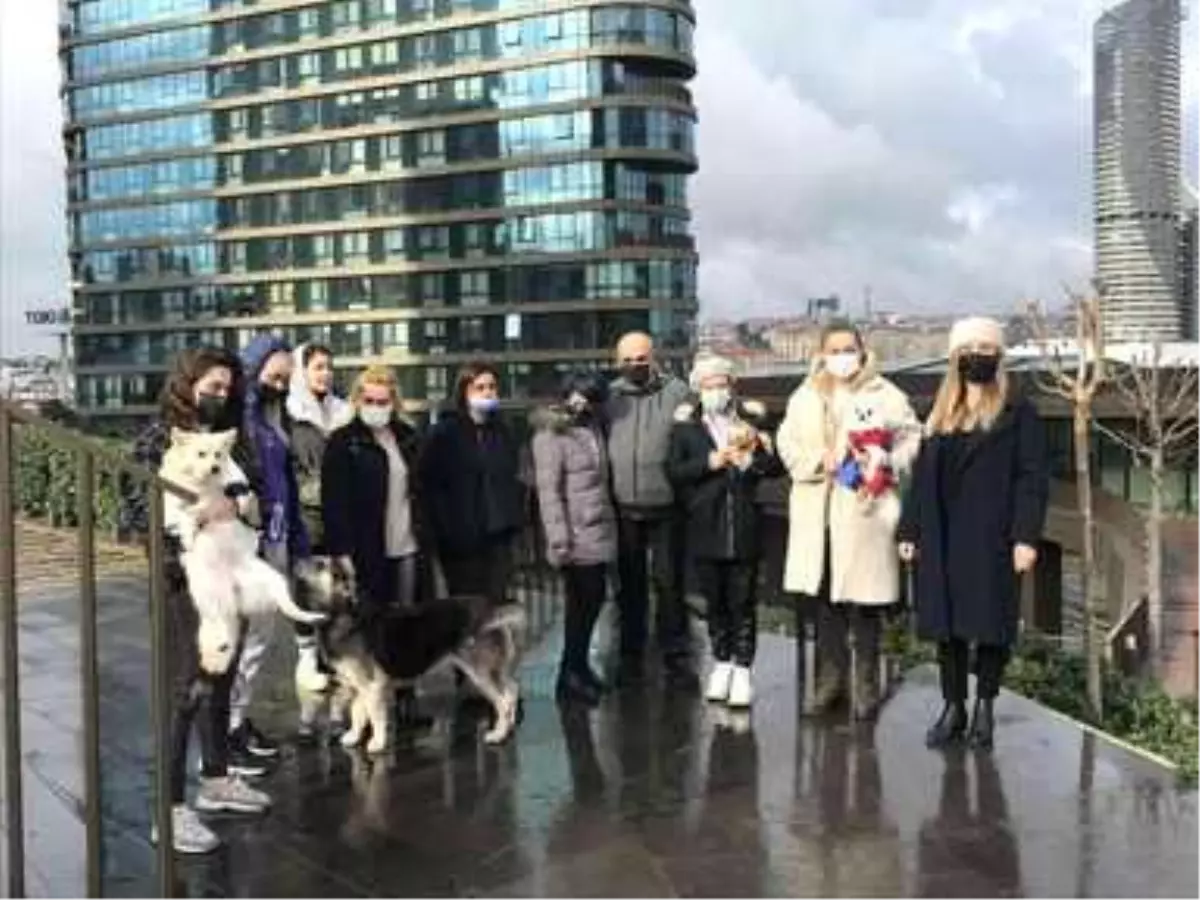 Kadıköy\'de lüks sitede köpek besleyen hayvansevere tehdit: "Samuray kılıcıyla doğrarım"