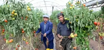 Kumlucalı üreticiler sel sonrası seralarda dezenfekte çalışmasına başladı