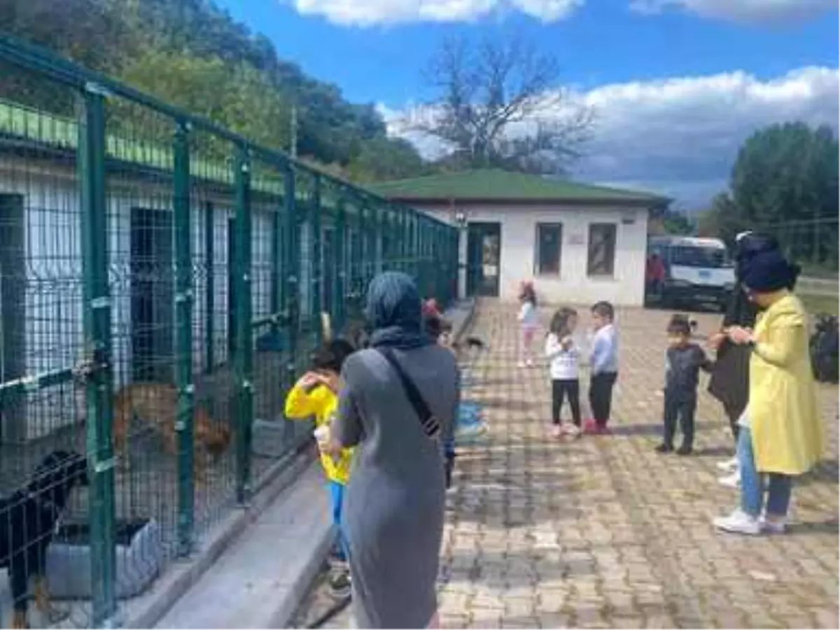 Barınak içine laboratuvar ve ameliyathane yapılacak