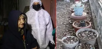 Başkent'te dehşet evi! Yaşlı kadın, ölü kedi ve köpekleri bahçesindeki saksılara gömmüş