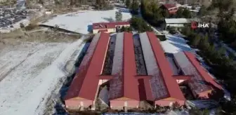 Kadınlar solucanla güzelleşecek