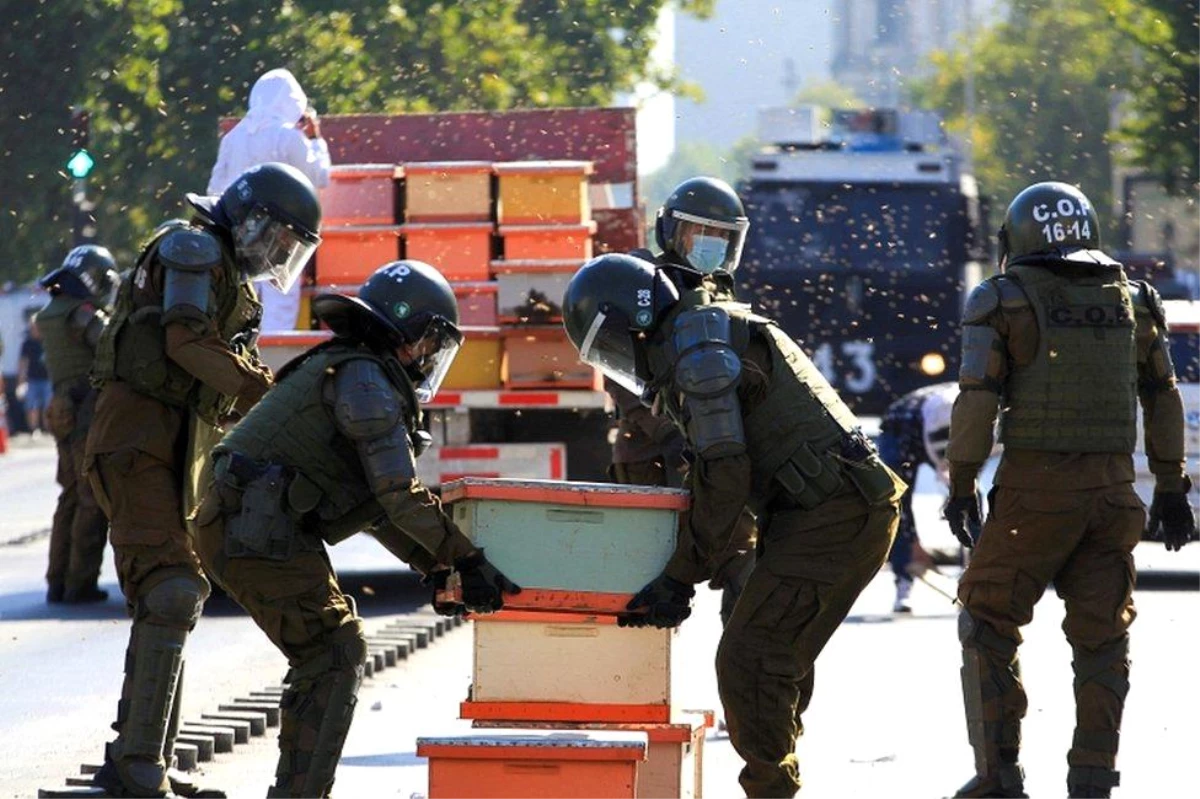 Şili\'de arıcılar hükümeti protesto etti, yedi polisi arı soktu