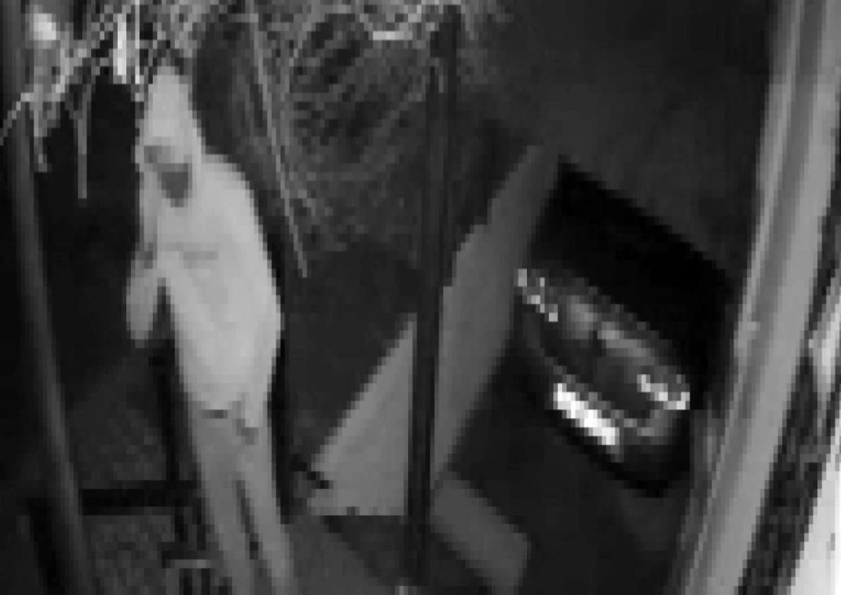 Son dakika haberi: Sultanbeyli\'de evin deposunda hırsızlık yapan şahıslar kamerada