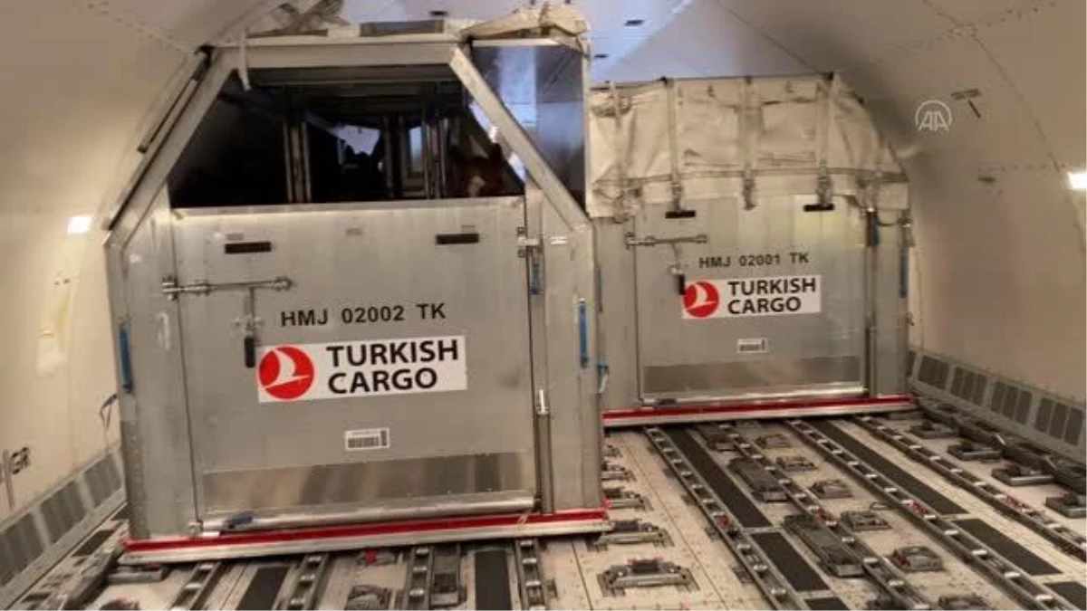 Turkish Cargo, 63 atı ABD\'den Türkiye\'ye güvenle taşıdı