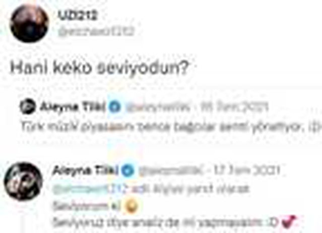 Aleyna Tilki'nin sevgilisi ortaya çıktı!