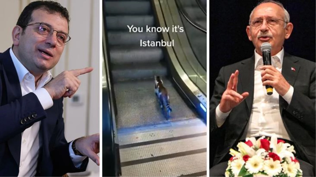 İmamoğlu, yürüyen merdivene ters binen kedi paylaşımı ile Kılıçdaroğlu\'na gönderme mi yaptı? CHP\'den açıklama var