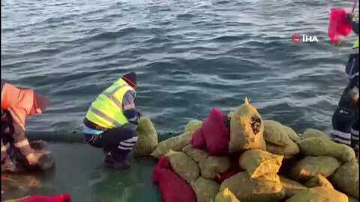 Bayrampaşa Hali\'nde 5 ton kaçak midye ele geçirildi: Canlı midyeler denize bırakıldı