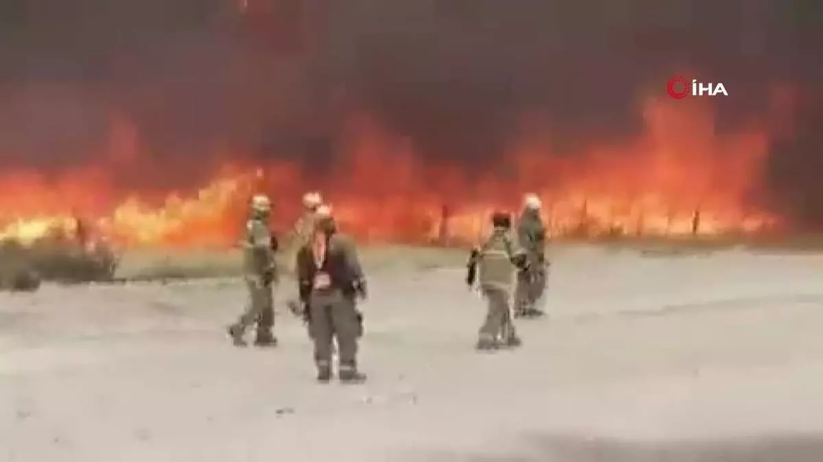 Patagonya yangını 90 bin hektar alanı küle çevirdi