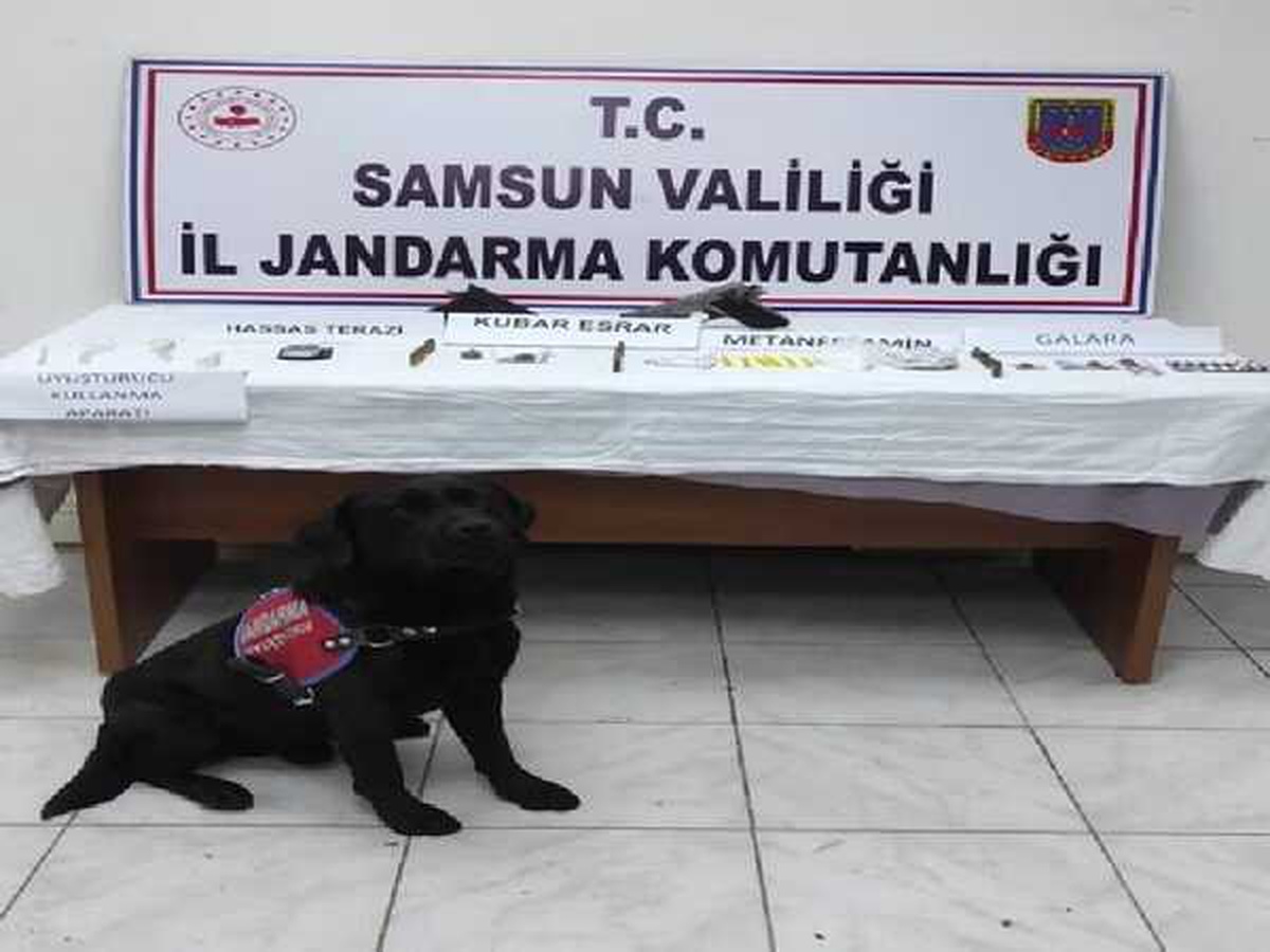 Samsun\'da uyuşturucu operasyonlarında 28 zanlı yakalandı