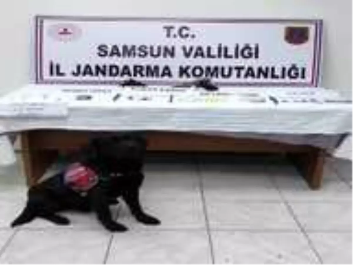Samsun\'da aralık ayında yapılan operasyonlarda 485 aranan şahıs yakalandı