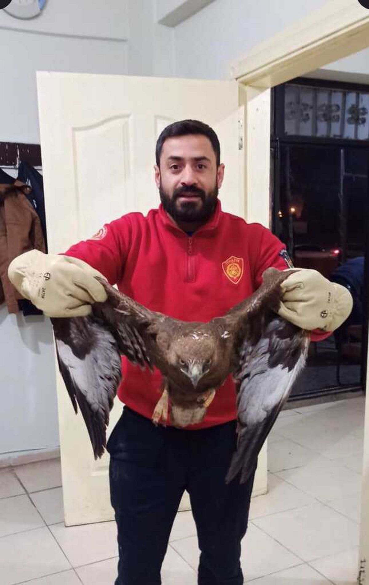 Şanlıurfa\'da yaralı kartal tedavi altına alındı