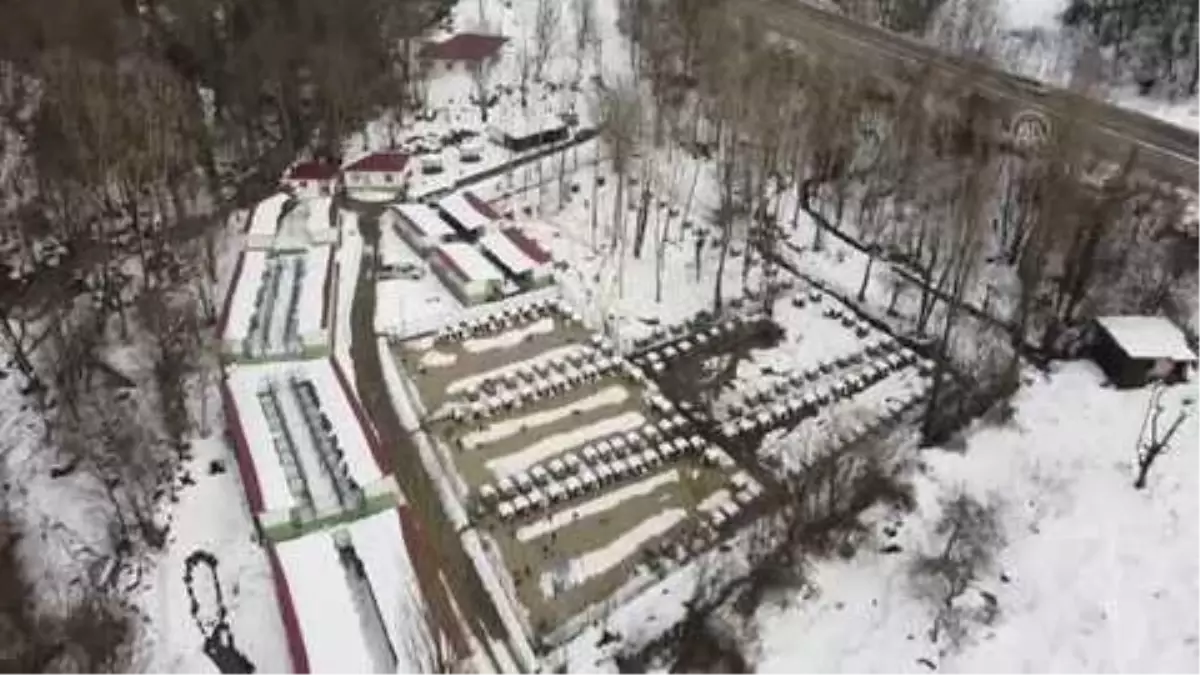 300 'can dost' geçici bakım evinden sıcak yuvaya kavuştu