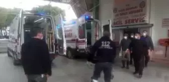 Devenin ısırdığı kişi yaralandı
