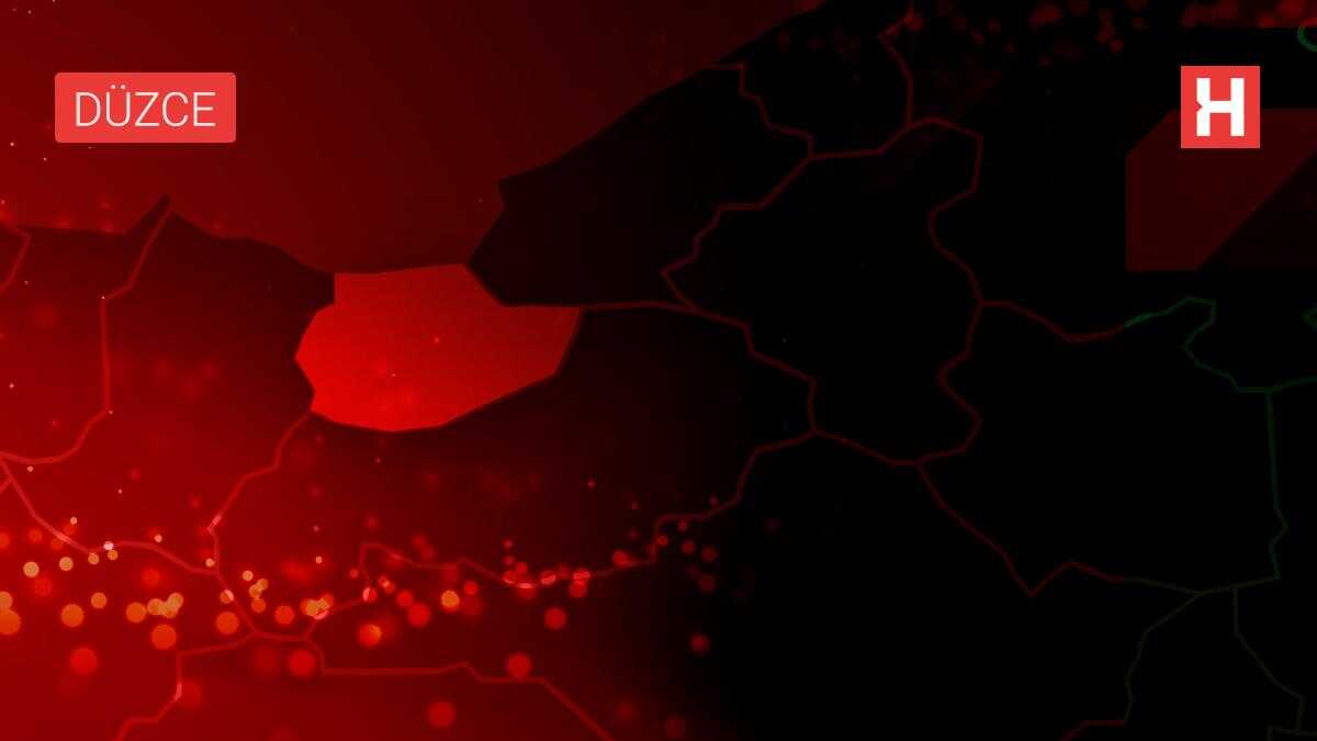 Son dakika haberi... Düzce'de bariyere çarpan hafif ticari aracın sürücüsü öldü