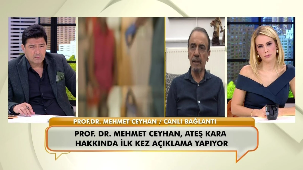 Prof. Dr. Mehmet Ceyhan\'dan Turkovac açıklaması