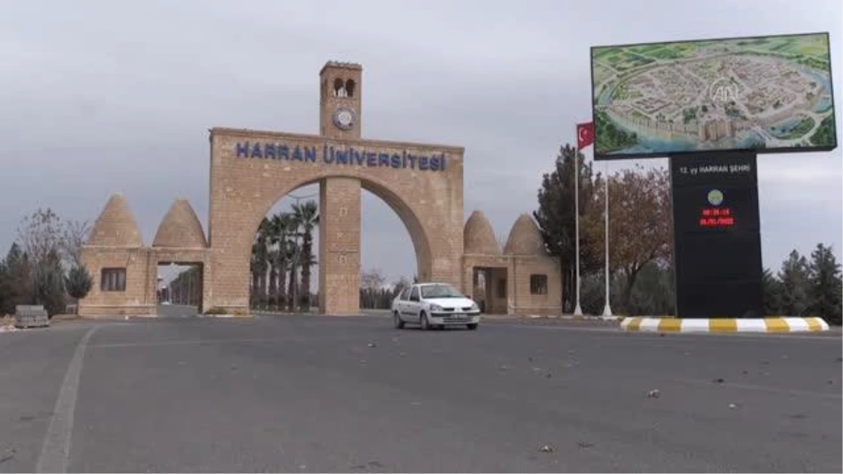 ŞANLIURFA - Dördüzler özel bakımla hayata tutundu