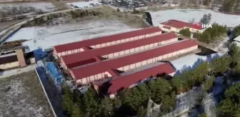 Solucan gübresi rekolte ve kaliteyi yüzde 60 artırdı