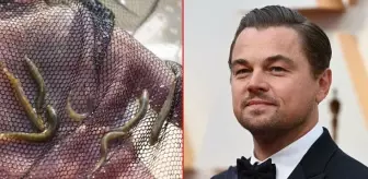 Dünyanın en çok arananlarından! 47 yıl sonra Batman'da görülen balık, Leonardo DiCaprio'nun bile dikkatini çekti