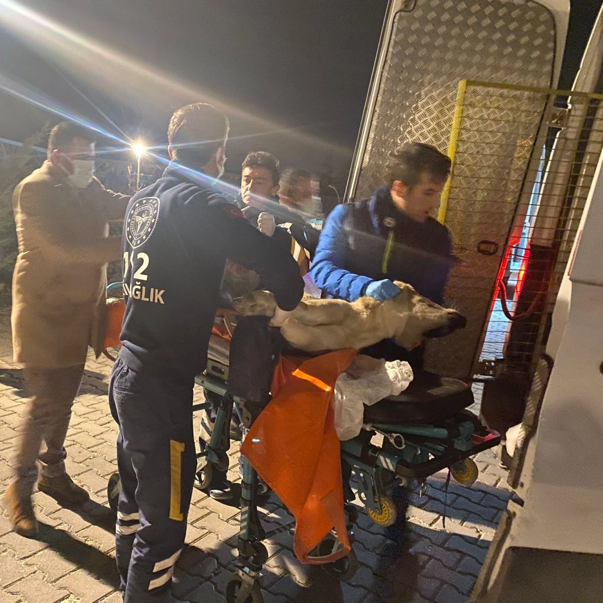 Eskişehir\'de sağlık ekibi yolda yaralı bulduğu köpeği ambulansla veteriner hekime götürdü