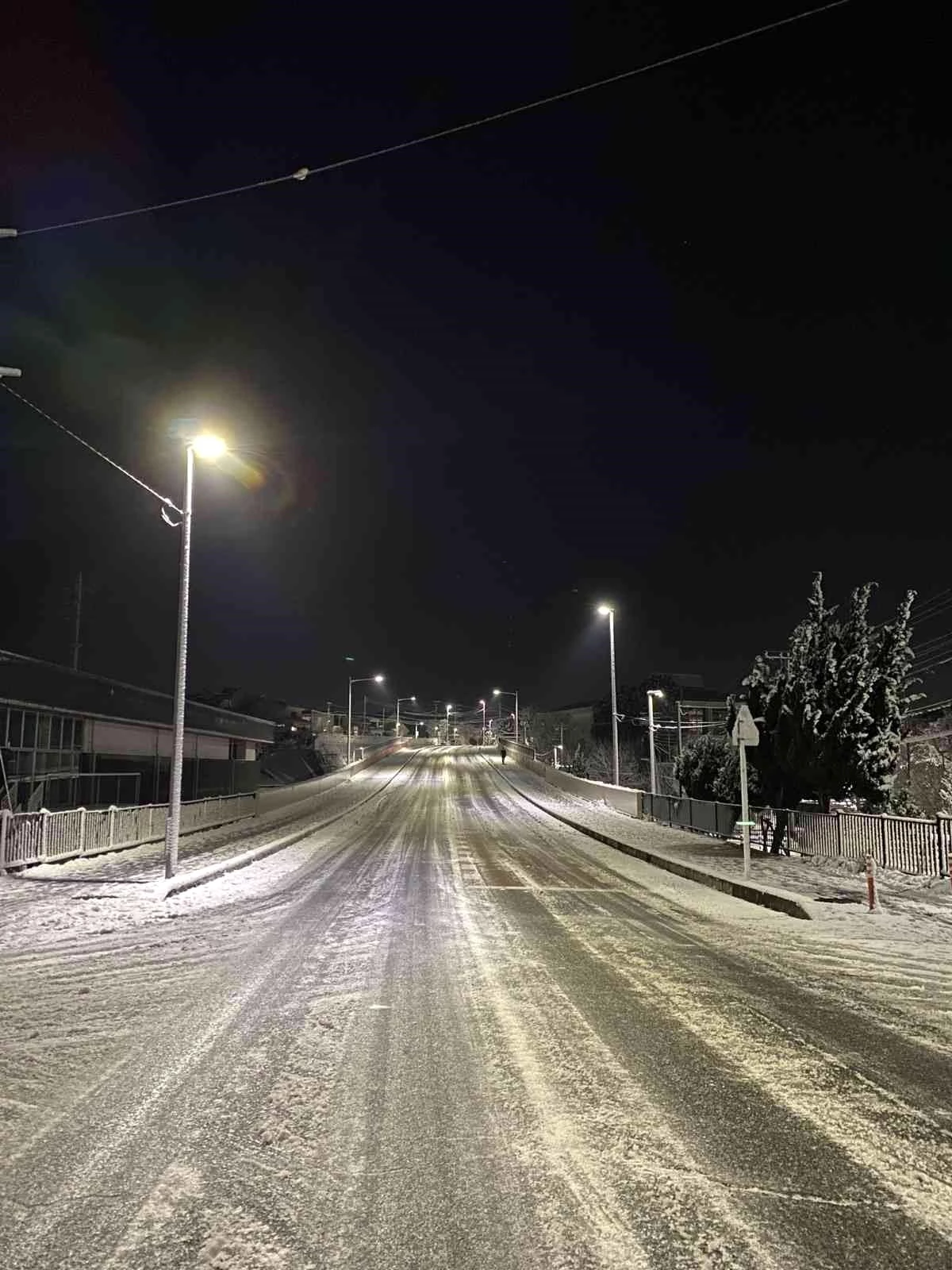 Japonya\'da şiddetli kar ve buzlanma nedeniyle 215 kişi hastanelik oldu