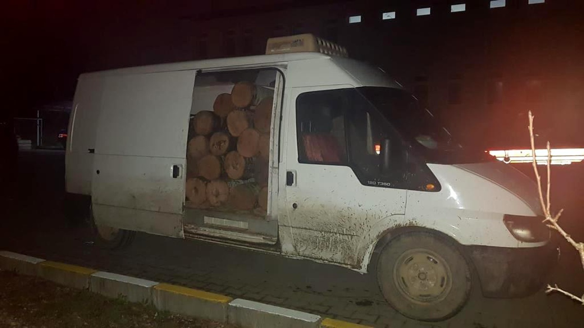 Kaçak kestikleri ağaçlarla birlikte yakalandılar