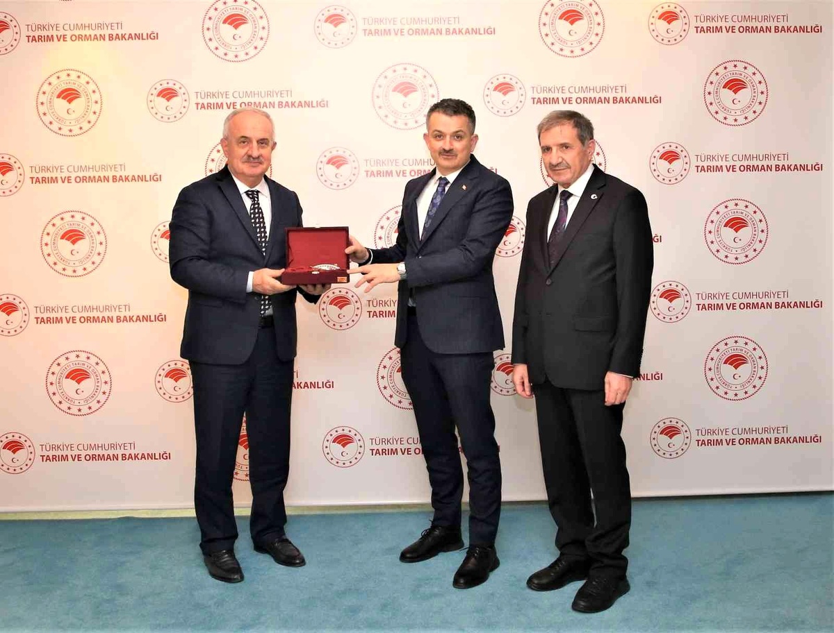 Modern Hayvan Satış Yeri ve Kurban Kesim Alanı projesi onaylandı