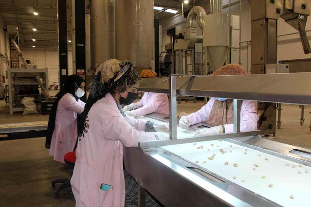 Siirt'ten Çin'e yarım milyon dolarlık fıstık ihracatı yapıldı