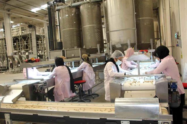 Siirt'ten Çin'e yarım milyon dolarlık fıstık ihracatı yapıldı