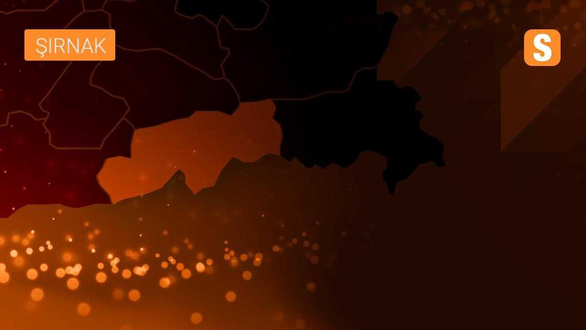 Son dakika haber | Şırnak\'ta güvenlik yatırımları değerlendirme toplantısı