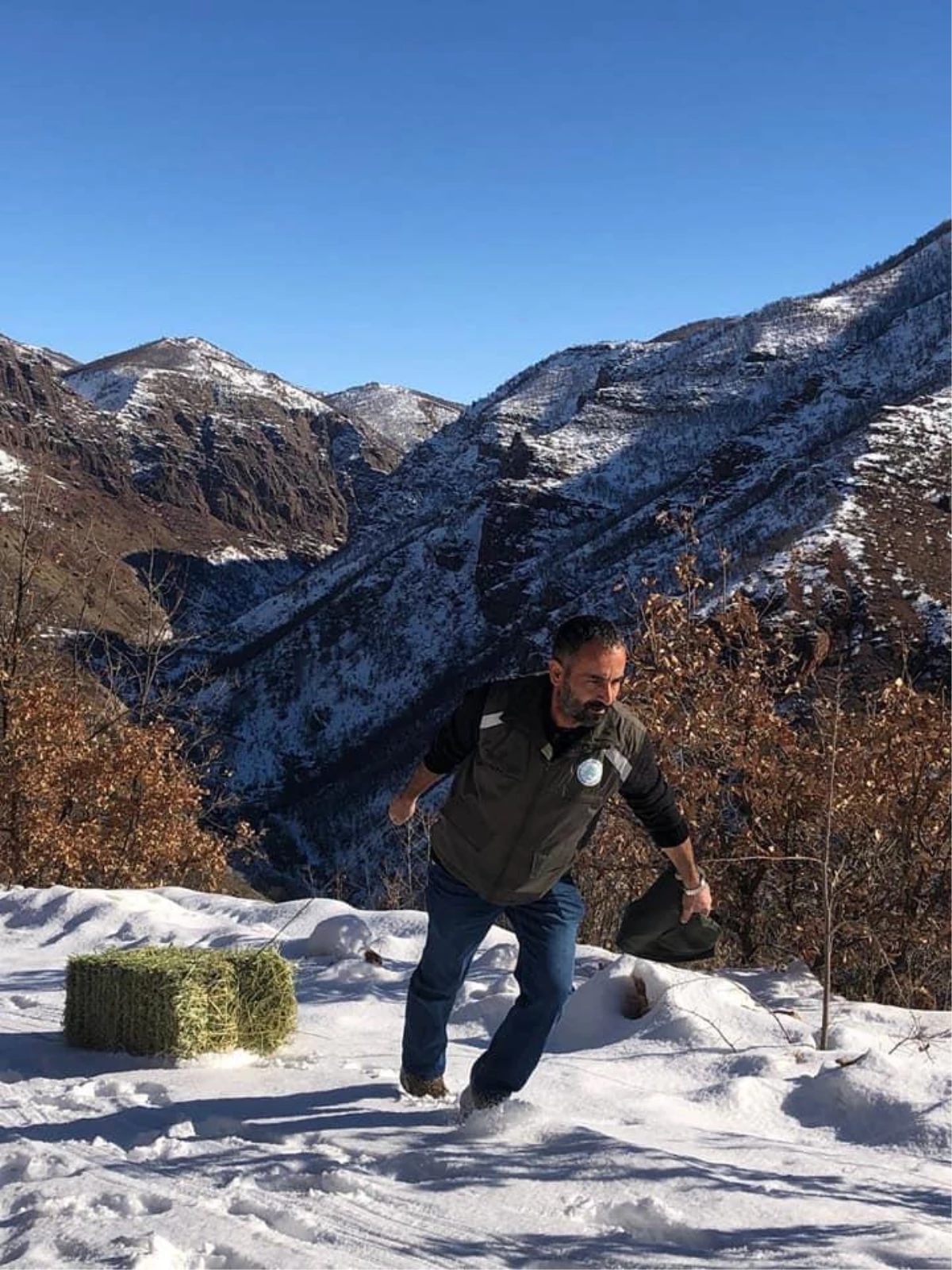 Tunceli\'de yaban hayvanları için karla kaplı dağlara yem bırakıldı