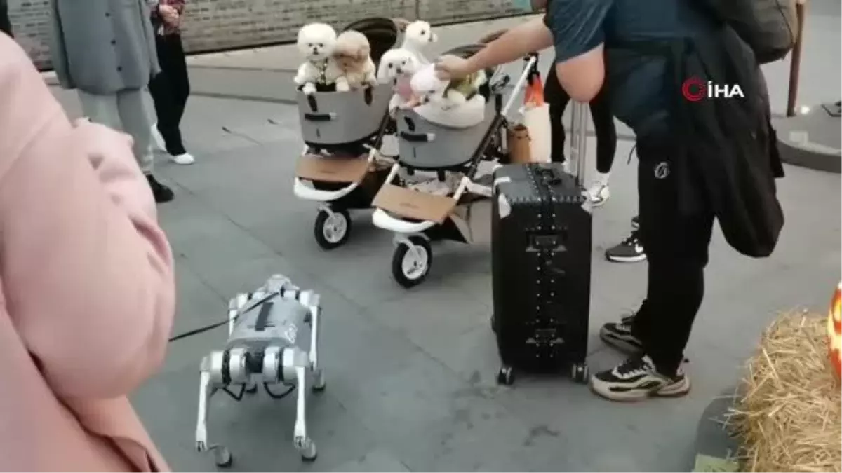 Çin\'de yürüyüşe çıkarılan robot köpek görenleri şaşırttı