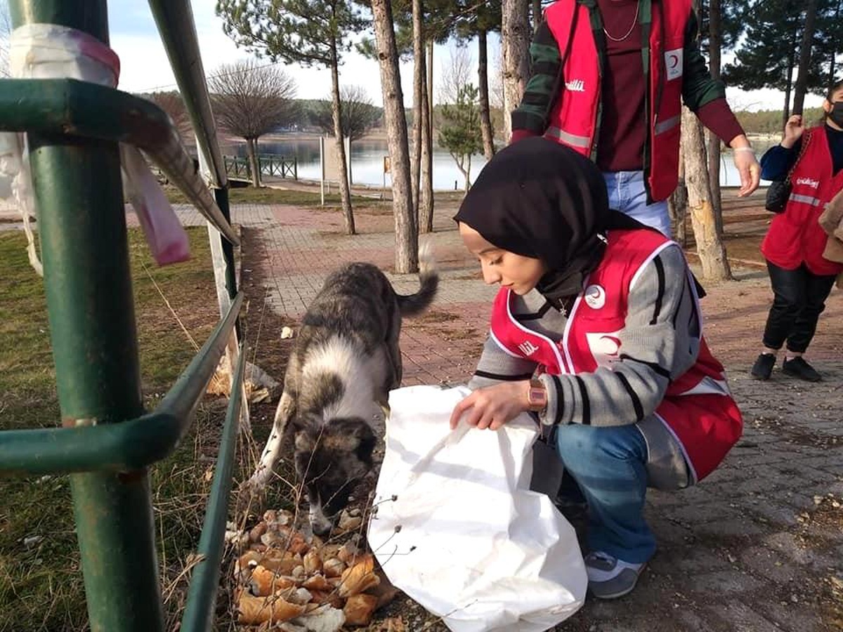Sokak hayvanları için doğaya yem ve su bıraktılar