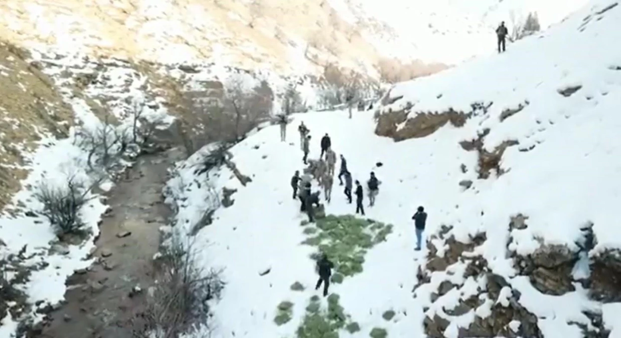 Tunceli\'de doğaya yem bırakıldı, dağ keçileri akın etti