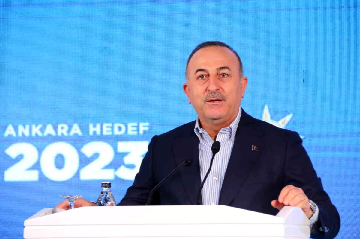 Çavuşoğlu: "Teşkilatlarımız gönüllülük esasıyla çalışıyorlar"