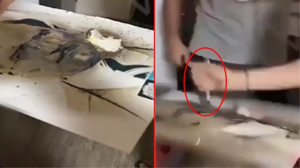 İstanbul Kabataş Erkek Lisesi'nde skandal görüntü! 3 öğrenci Atatürk posterini bıçakla parçaladı