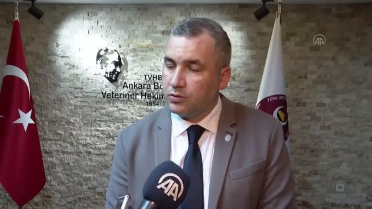 Kovid-19 salgınıyla hayvan aşılarında yurt dışından tedarik yavaşladı