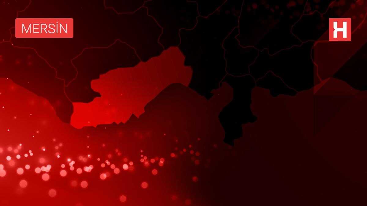 Mersin'de elektrik direğine çarpan minibüsteki bir tarım işçisi yaralandı