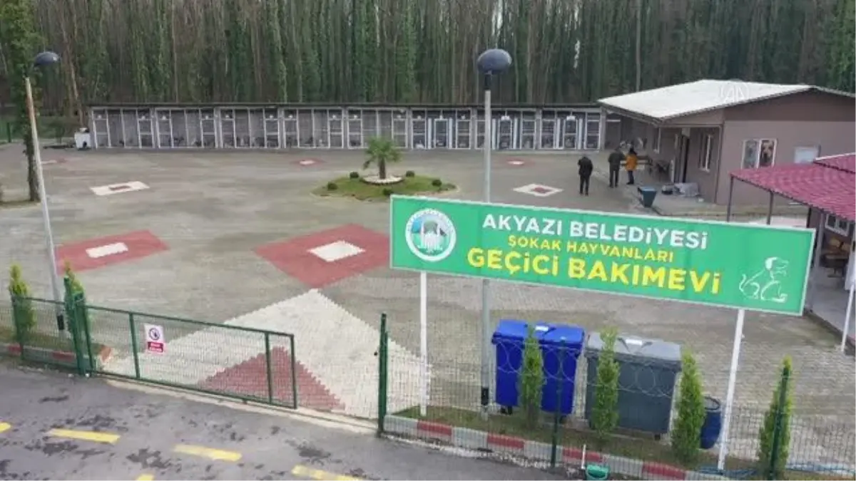 Sakarya\'daki bakımevi hayvanlara doğal yaşam alanını aratmıyor