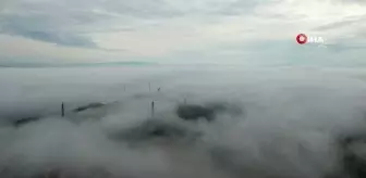 Balıkesir güne sisle uyandı