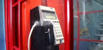 İkonik telefon kulübesini akvaryuma çevirdiler