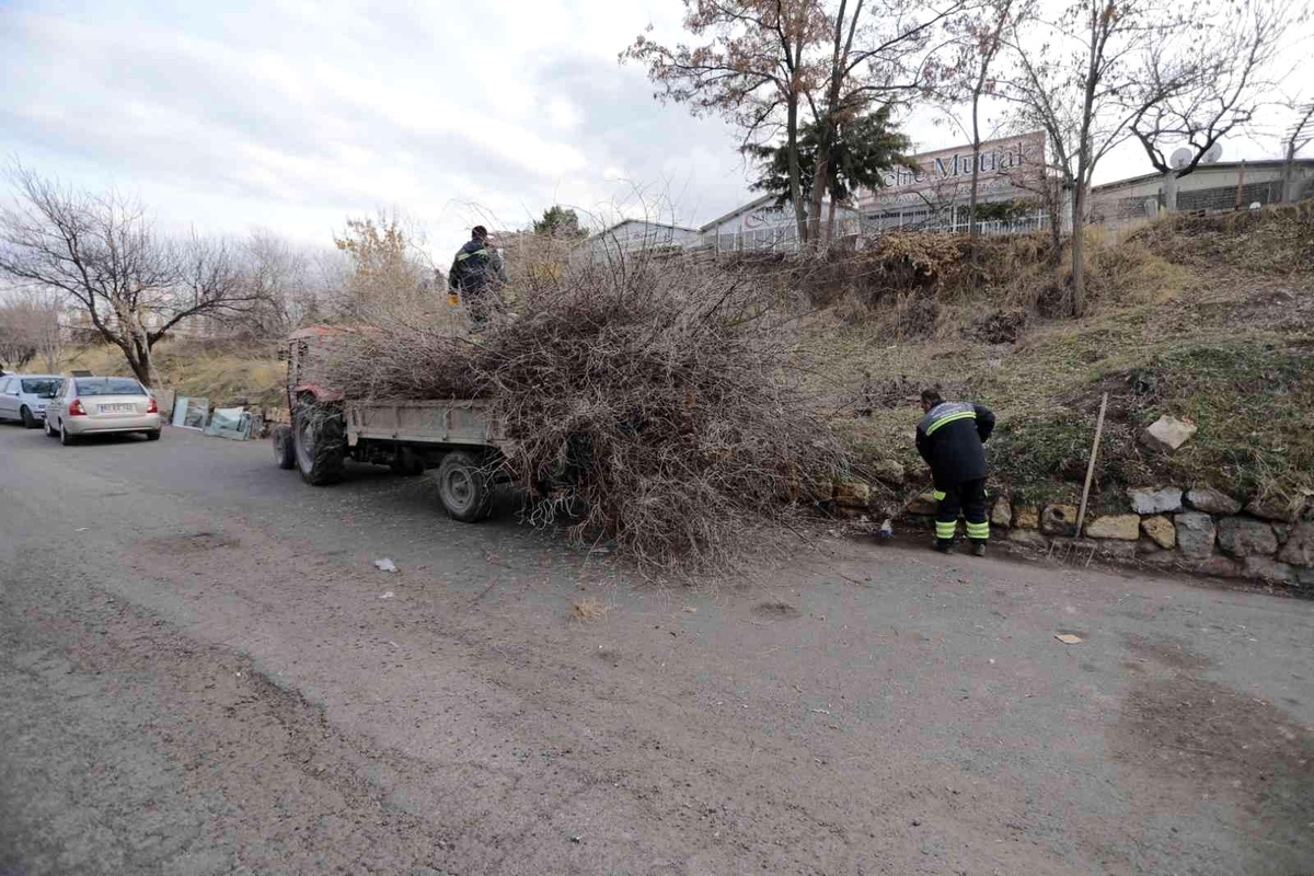 Nevşehir Belediyesi sanayi bölgesindeki yeşil alanlarda bakım ve temizlik çalışmaları başlattı