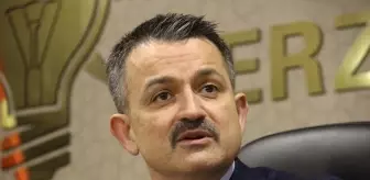 Bakan Pakdemirli: 'Hedefimiz yanan alanları 1 yıl içinde ağaçlandırmak'