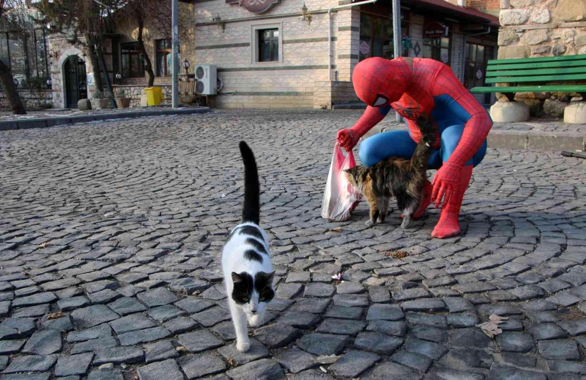 \'Örümcek Adam\' sokak hayvanlarının kahramanı oldu, görenler şaşkınlığını gizleyemedi
