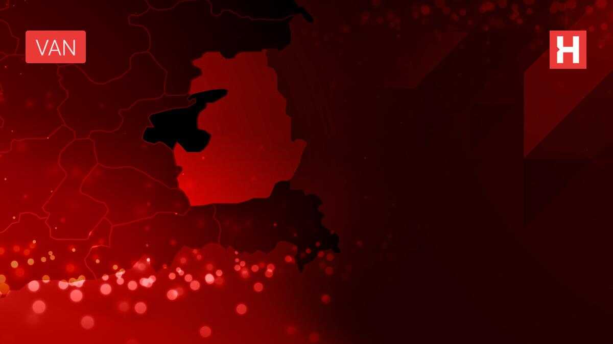 Son dakika haberi! Van Gölü aktivistleri, kısmen donan Muradiye Şelalesi'nde yüzdü