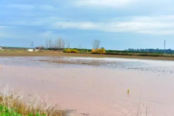 Adana'da tarım arazileri su altında kaldı