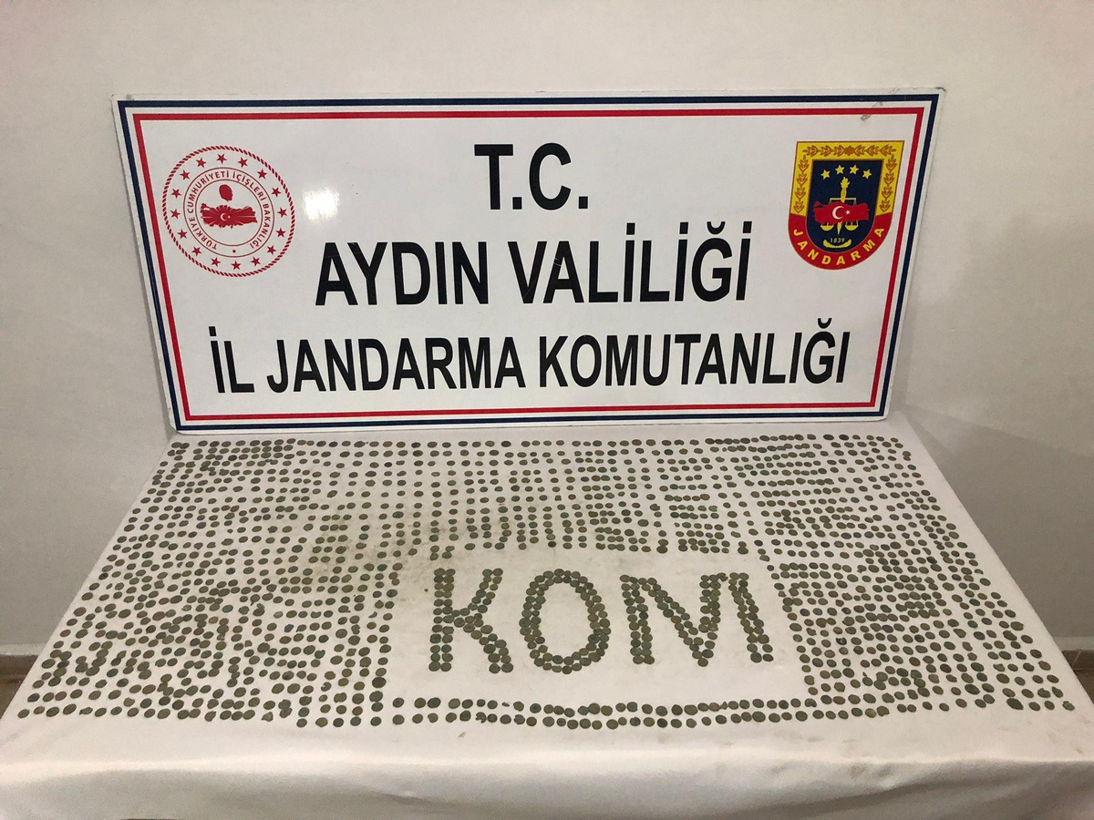 Aydın\'da tarihi eser kaçakçılığı operasyonunda 3 şüpheli yakalandı