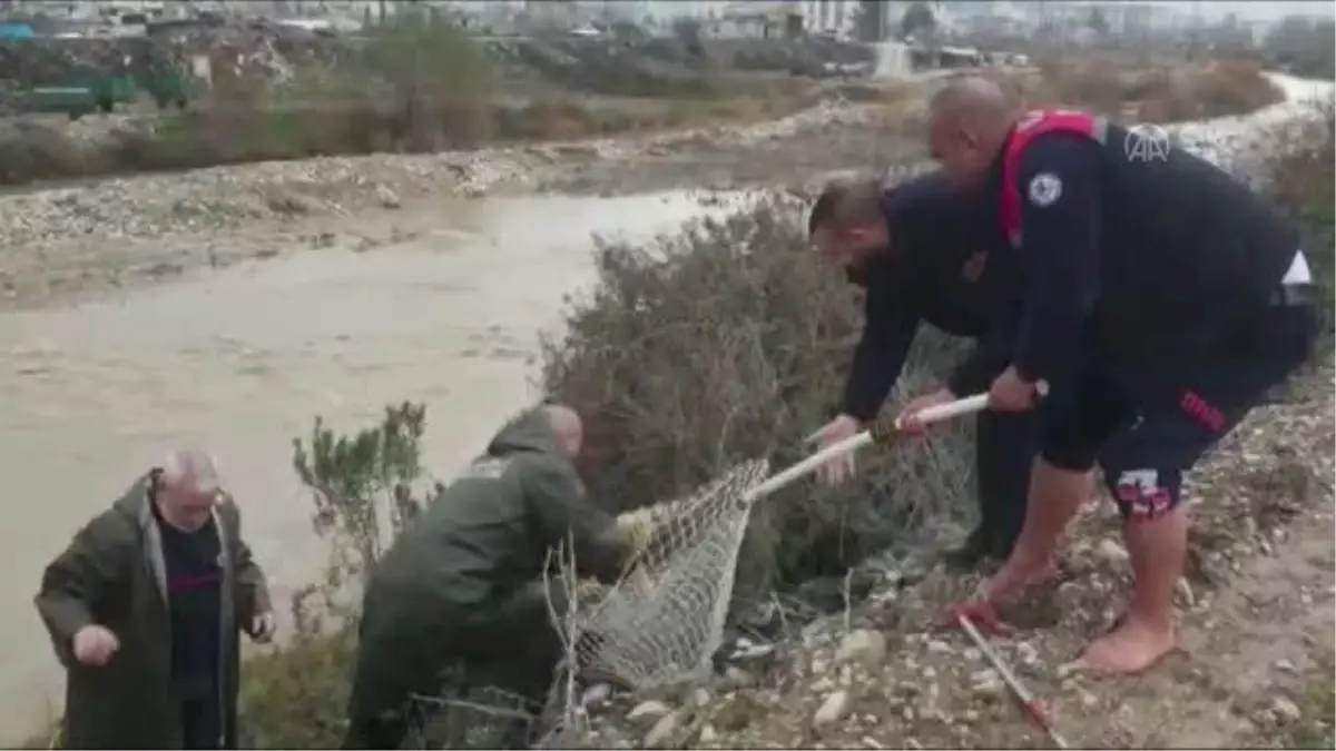 Çayda mahsur kalan köpek kurtarıldı