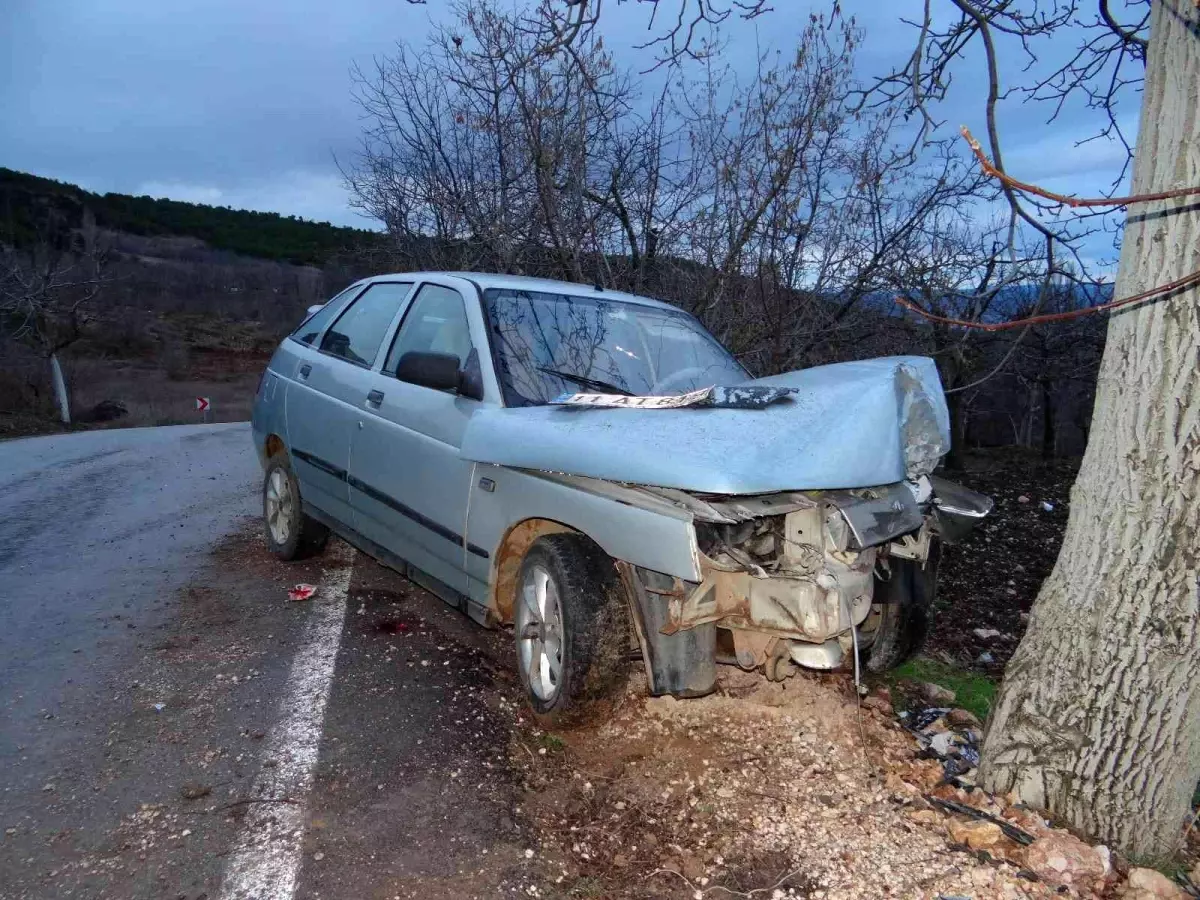 Ceviz ağacına çarpan aracın sürücüsü ağır yaralandı