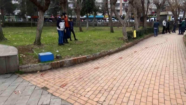 Diyarbakır'da parkta yürüyen yabancı uyruklu genç, tartıştığı kişi tarafından bıçaklandı